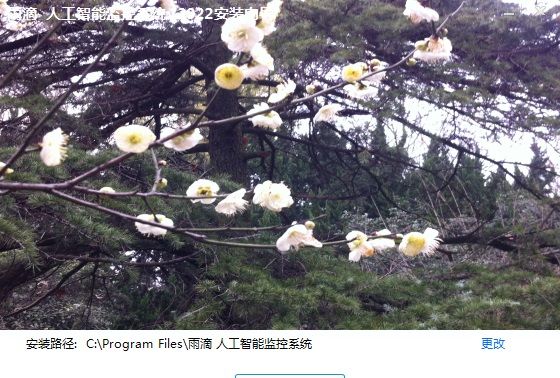 雨滴人工智能监控