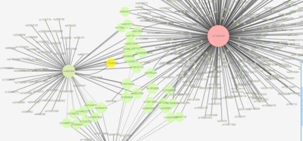 Cytoscape 3.9.0 官方版