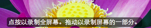 AppleQuickTime 7.7.9 免费版