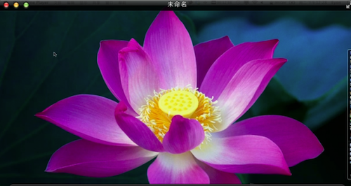 AppleQuickTime截图
