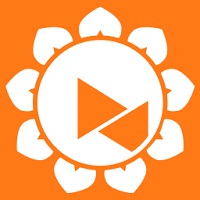 向日葵远程控制 12.5.0.43486 (主控端)